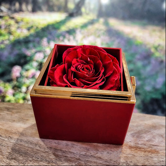 Love Knot Necklace with Rotating Rose Gift Box - You Made Everything Magic