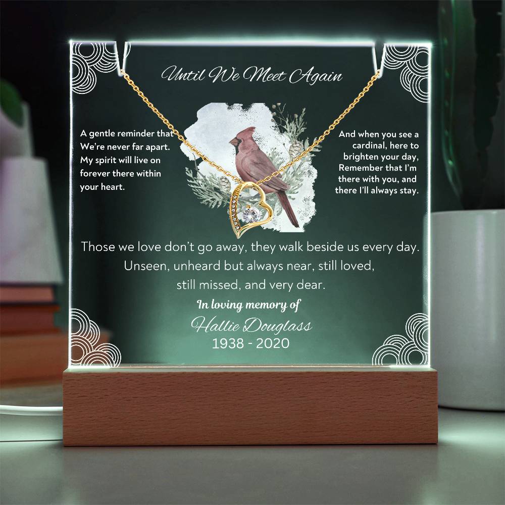 In Loving Memory - Acrylic Keepsake & Forever Love Necklace